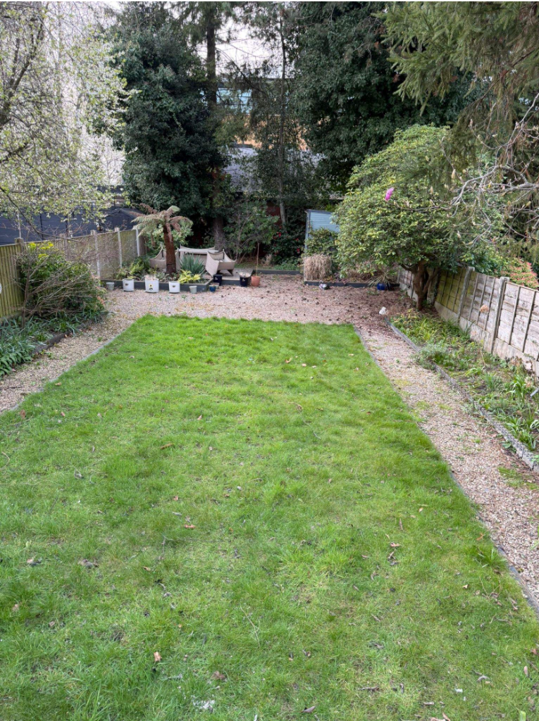 Wide view of overgrown Ashwood Avenue garden before renovation with dry patchy lawn and untamed borders