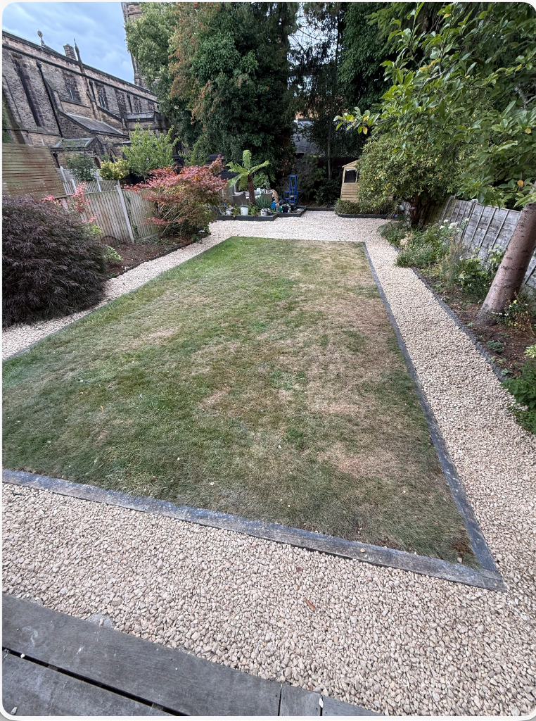 Wide view of transformed Ashwood Avenue garden after clearance, showing defined lawn, gravel borders, and new fencing