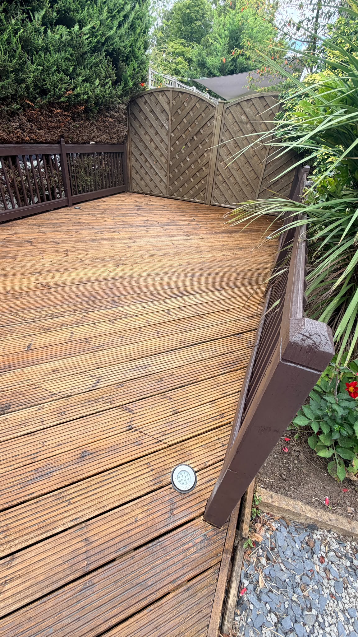 Trout Road Haslemere deck after — full corner shot with oiled boards catching the light